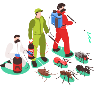 Best Pest Control Services at Your Doorstep | Mr.Pest Manager